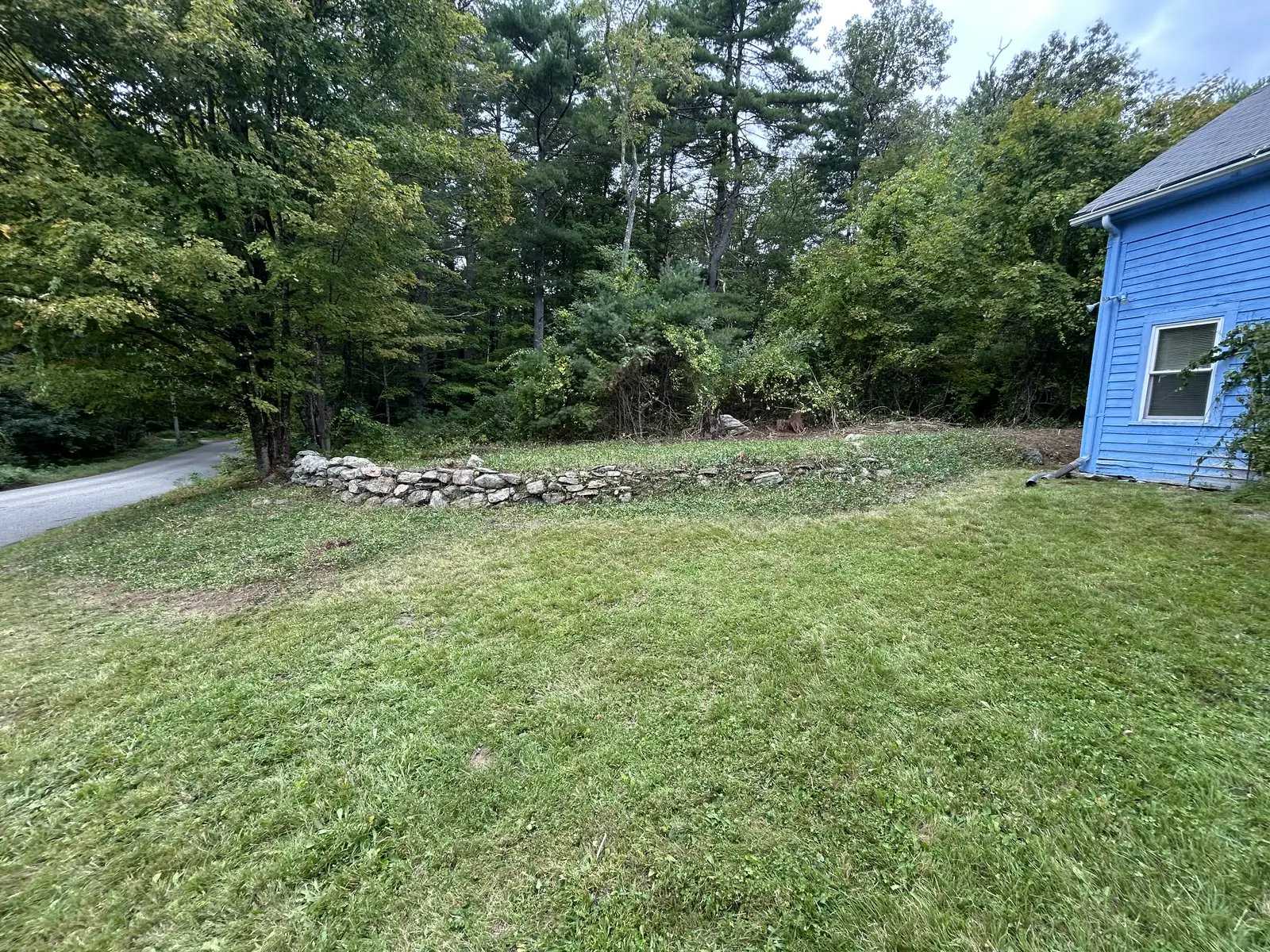 After — cut back to the old stone wall