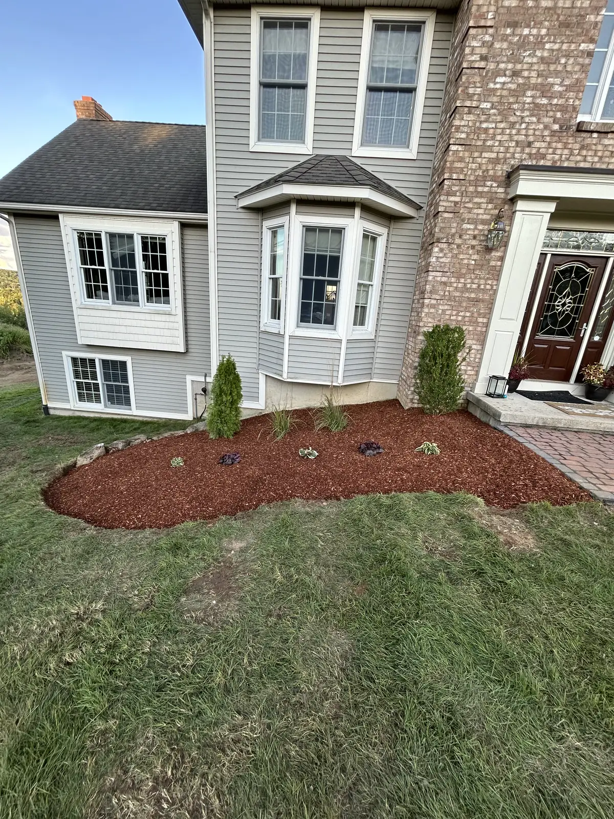 After — re-edged, mulched and replanted