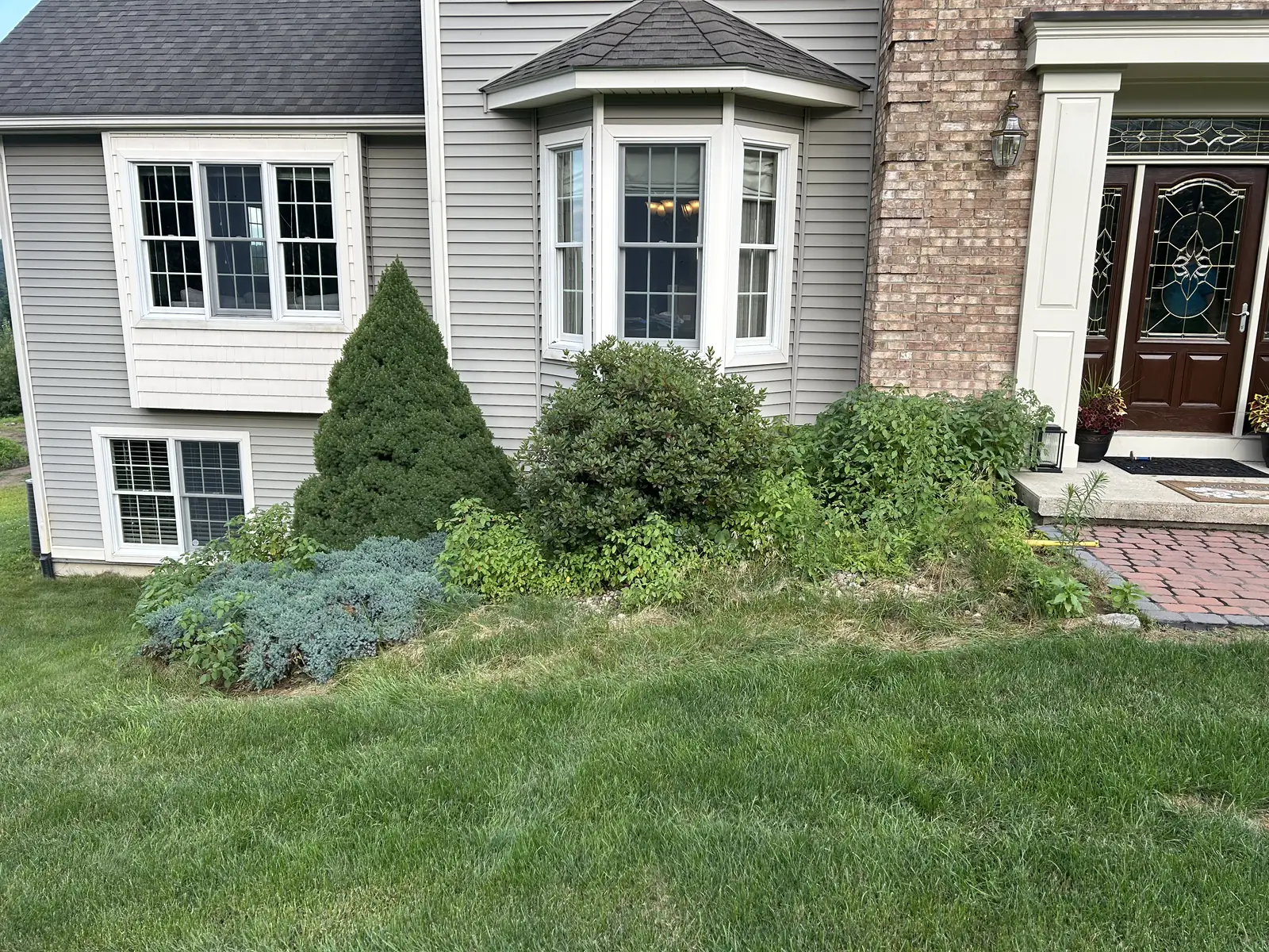 Before — the overgrown foundation bed