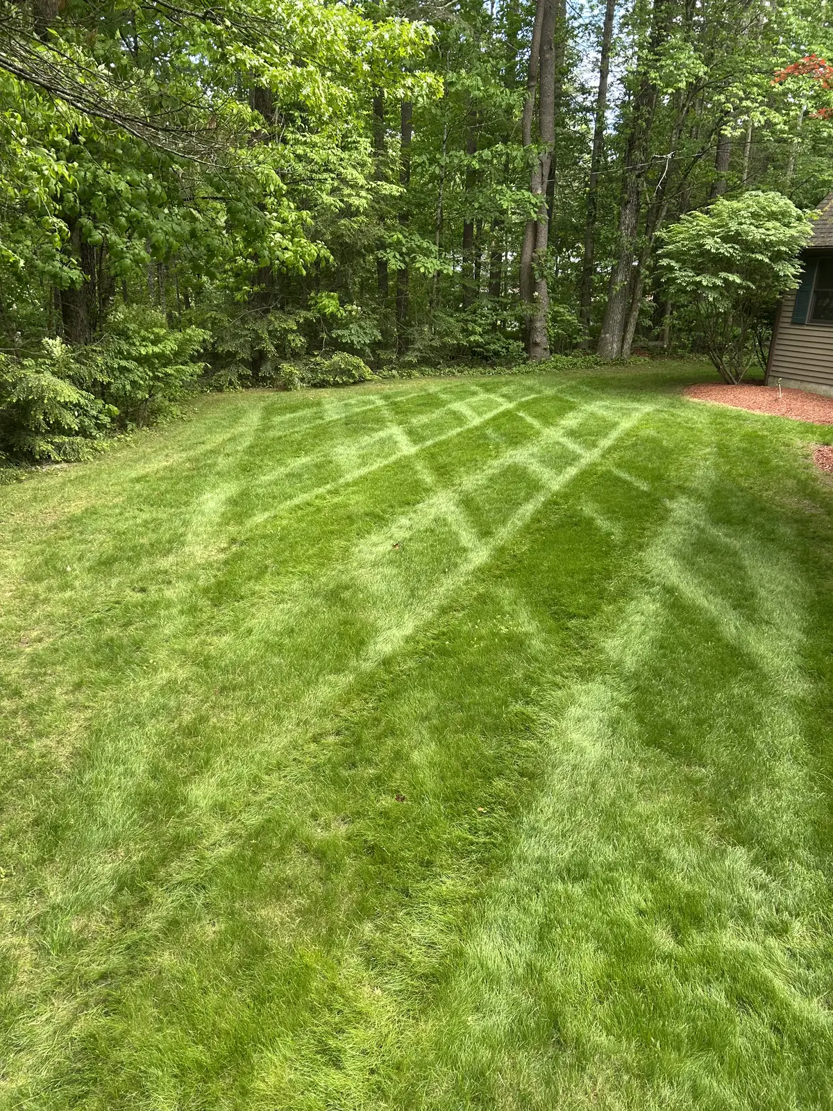 A diamond pattern cut into a back lawn