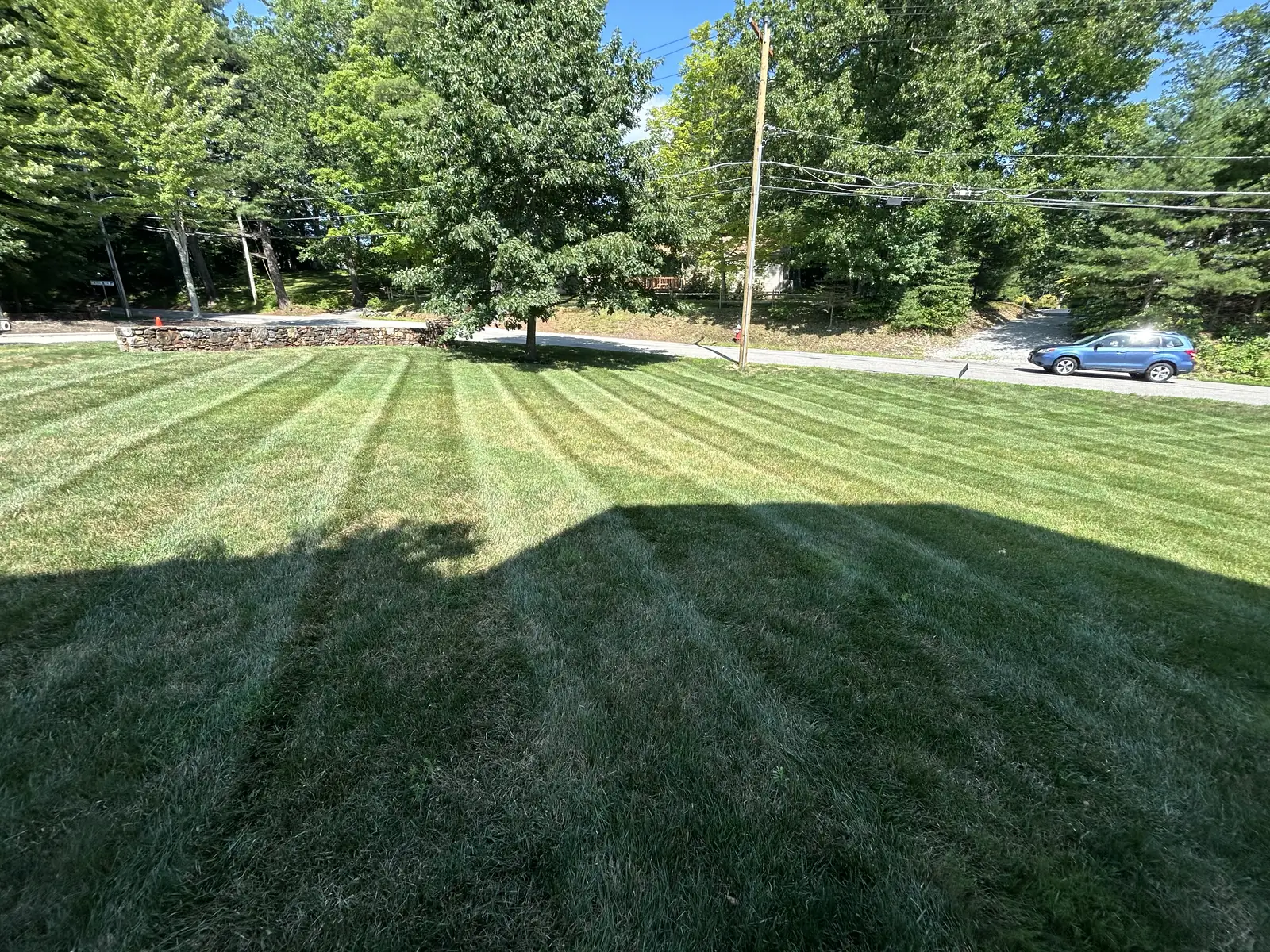 Front lawn striped out to the road