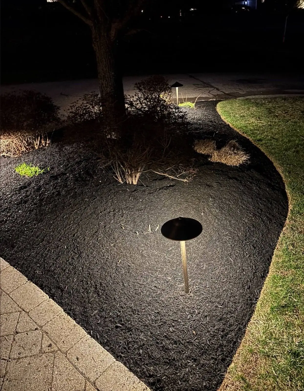 Fresh mulch, clean edge, path lighting