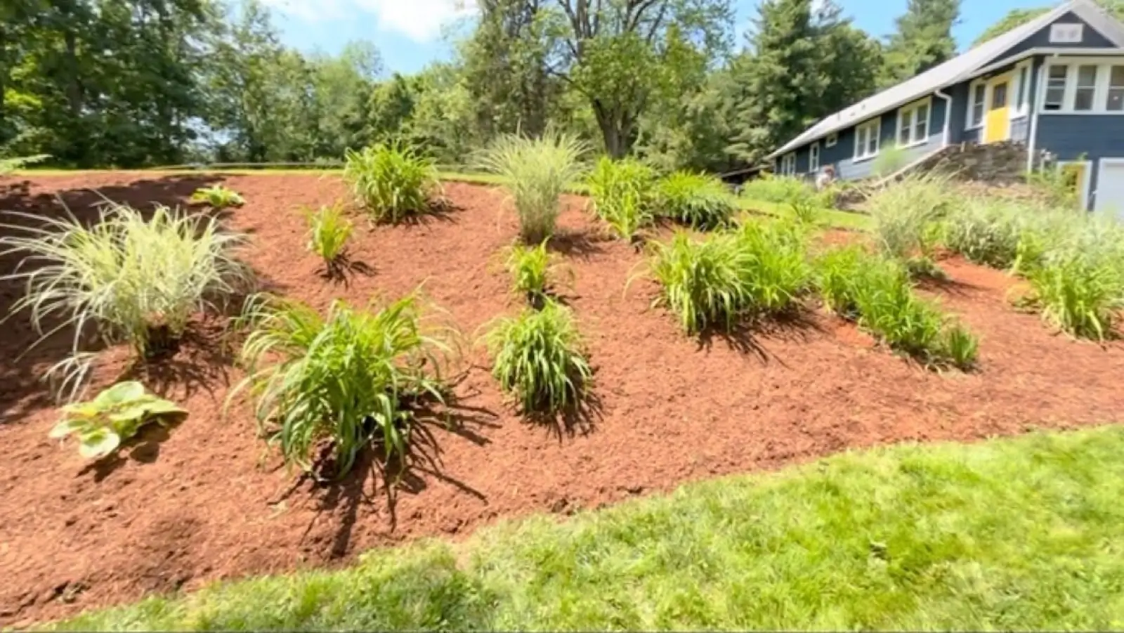 New planting bed on a slope